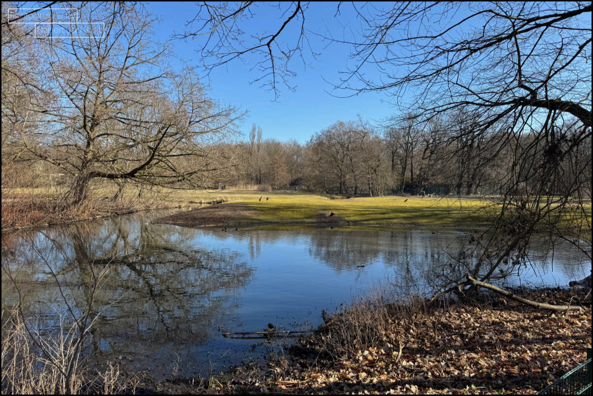 Ruimte dat is wat opvalt in Tierpark Berlin