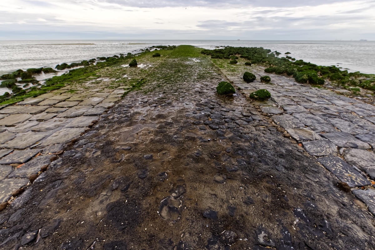 Groene Golfbreker op het strand bij Ouddorp