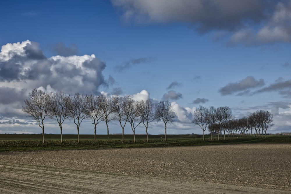 koudenhoek landschapsfoto op grootformaatfoto