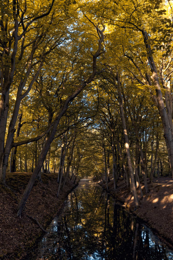 Landgoed Clingendael 