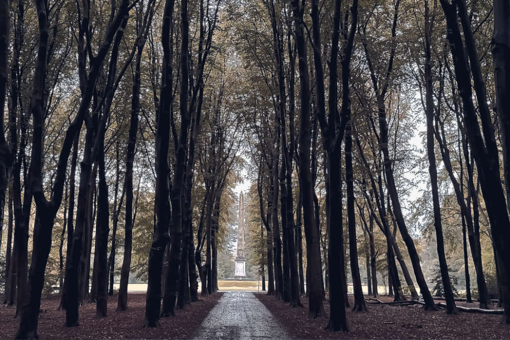 Rijswijkse bos met de Naald op grootformaatfoto