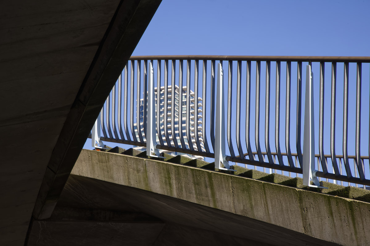 Lijnen naar de Cooltoren Rotterdam